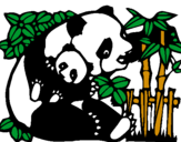 Dibuix Mare Panda pintat per ELIAS