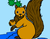 Dibuix Esquirol pintat per judit