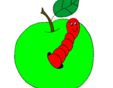 Dibuix Poma amb cuc pintat per poma cuc