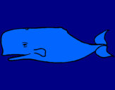 Dibuix Balena blava pintat per ALEIX