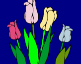 Dibuix Tulipes pintat per JUDITH ROURE GRIMA