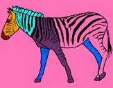 Dibuix Zebra pintat per l