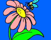 Dibuix Margarida amb abella pintat per Judit