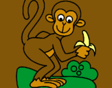 Dibuix Mono pintat per arnau