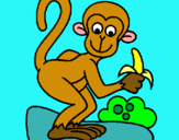 Dibuix Mono pintat per marta sert