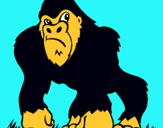 Dibuix Goril·la pintat per mohamed