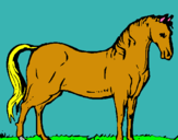 Dibuix Cavall andalús  pintat per popotito