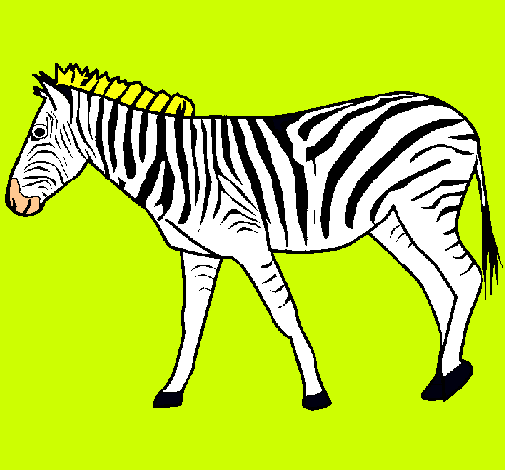 Dibuix Zebra pintat per bob