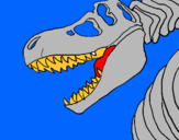Dibuix Esquelet tiranosauri rex pintat per edgar
