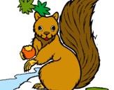 Dibuix Esquirol pintat per Esquirol