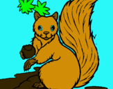 Dibuix Esquirol pintat per BAYO