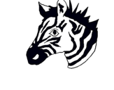 Dibuix Zebra II pintat per JOAN MERCADAL PONS