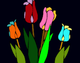 Dibuix Tulipes pintat per sukh
