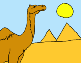 Dibuix Camell pintat per estrella