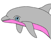 Dibuix Dofí pintat per marina