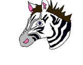 Dibuix Zebra II pintat per Quim