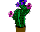 Dibuix Flors de cactus pintat per oriolpi