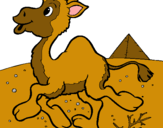Dibuix Camell pintat per victor