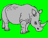 Dibuix Rinoceront pintat per Gerard