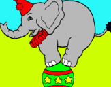 Dibuix Elefant sobre una pilota pintat per adriá