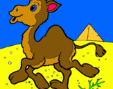 Dibuix Camell pintat per marti