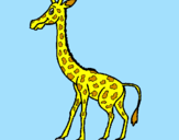 Dibuix Girafa pintat per *Maria*