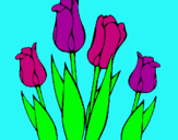 Dibuix Tulipes pintat per nàdia huix ratia.