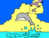 Dibuix Dofí i gavina pintat per nuria