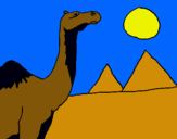 Dibuix Camell pintat per cristina
