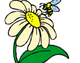 Dibuix Margarida amb abella pintat per martona