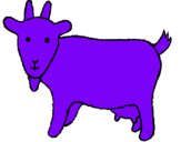 Dibuix Cabra pintat per emili