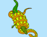 Dibuix Anaconda i caiman pintat per alex mena