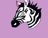 Dibuix Zebra II pintat per  lorena  p