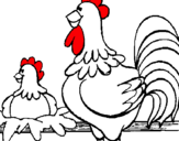 Dibuix Gall i gallina pintat per marti