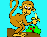 Dibuix Mono pintat per monet