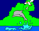 Dibuix Dofí i gavina pintat per glaudia