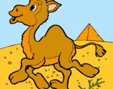 Dibuix Camell pintat per Betty
