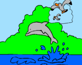 Dibuix Dofí i gavina pintat per didac