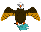 Dibuix Àguila caçant  pintat per xenia julia