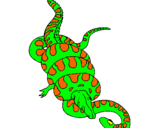 Dibuix Anaconda i caiman pintat per MARTI      IU
