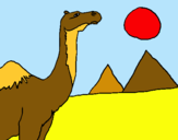 Dibuix Camell pintat per Caterina