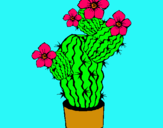 Dibuix Flors de cactus pintat per noemi rubau