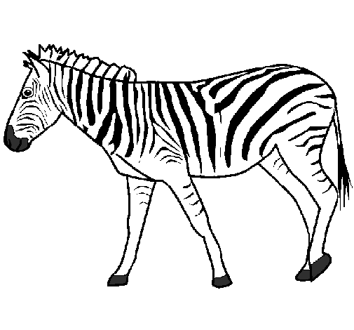 Dibuix Zebra pintat per zebra