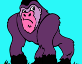 Dibuix Goril·la pintat per judith sanchez