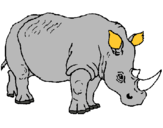Dibuix Rinoceront pintat per roger