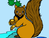 Dibuix Esquirol pintat per nuriacuatrecasasfont