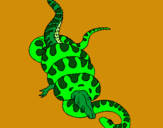 Dibuix Anaconda i caiman pintat per Guillem