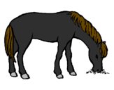 Dibuix Cavall menjant pintat per ADRIÀ