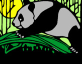 Dibuix Ós panda menjant pintat per MARGA