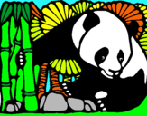 Dibuix Ós Panda i Bambú pintat per Ainhoa